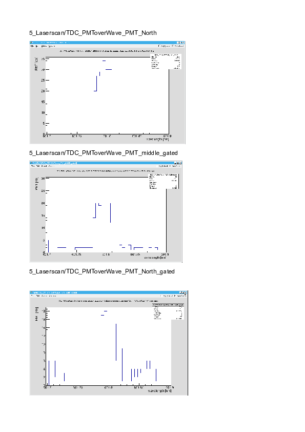 Short_Introduction_to_the_208Bi_Go4_Analysis.pdf